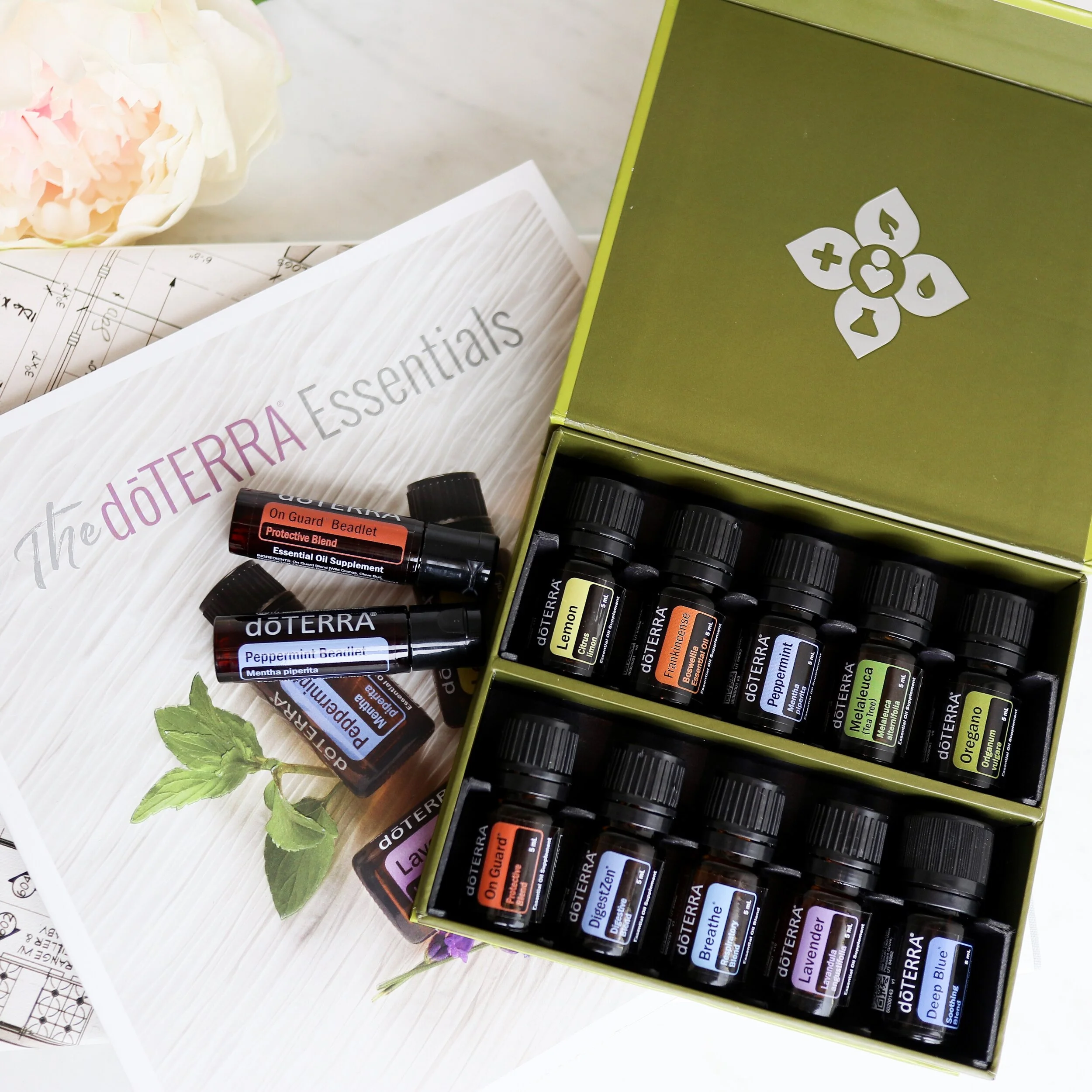 Get started with Essential Oils — Elin Hemnes